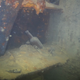 Bottles and other artifacts in the ship’s lower deck.